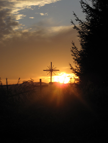 Cmentarne krzyże na tle zachodzącego słońca